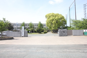 A01img_4646